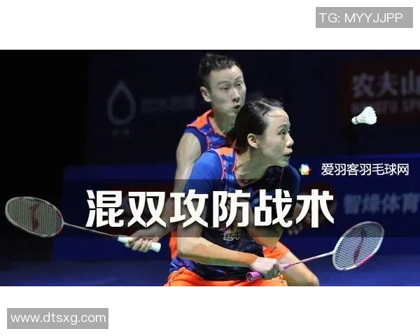 杭州羽毛球队冠军赛战术分析与表现评估全景回顾 杭州羽毛球队冠军赛战术分析与表现评估全景回顾