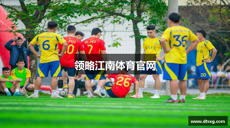 领略江南体育官网